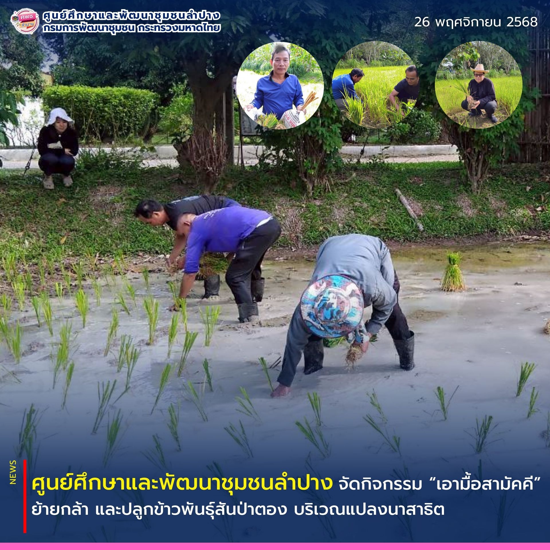 ศพช.ลำปาง จัดกิจกรรมเอามื้อสามัคคี ปลูกข้าวสันป่าตอง บริเวณแปลงนาสาธิต